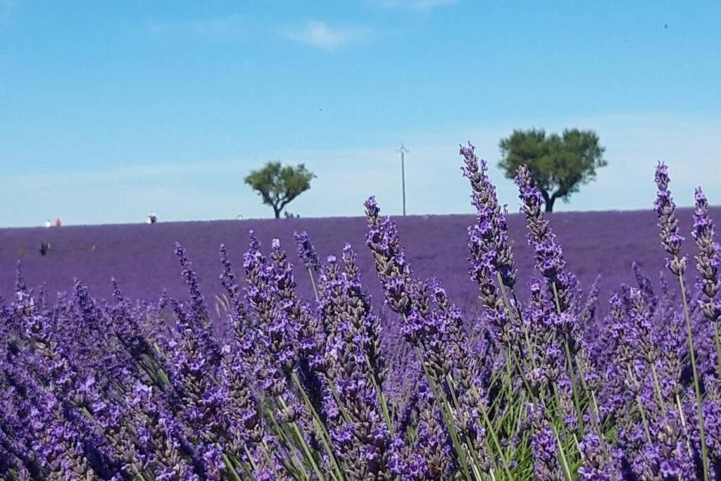 Lou Paradiu Du Verdon Allemagne-en-Provence Εξωτερικό φωτογραφία