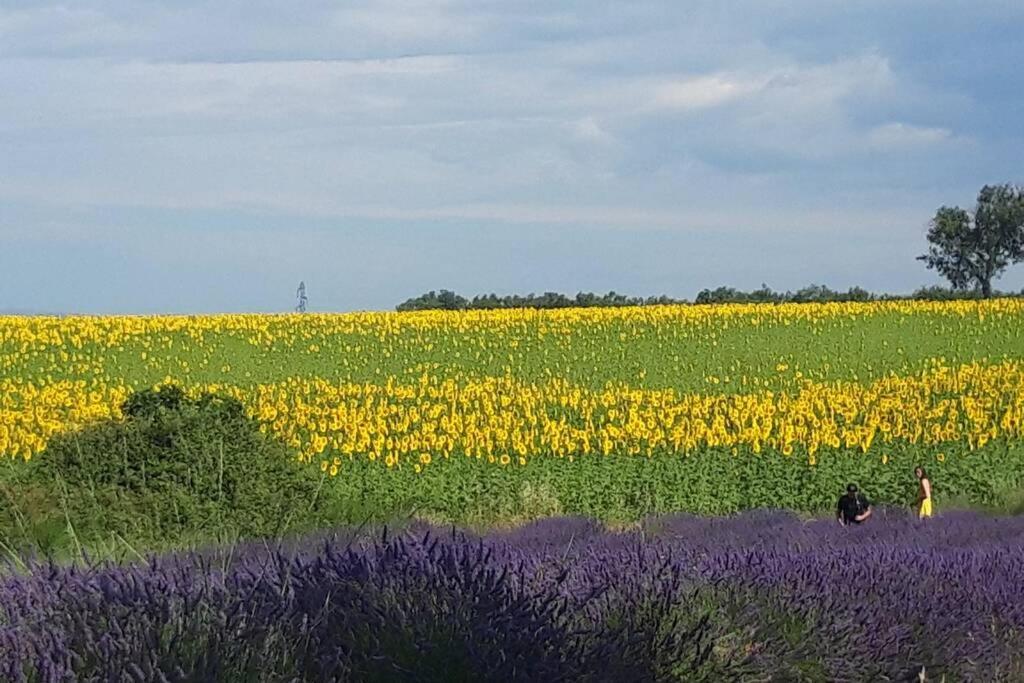 Lou Paradiu Du Verdon Allemagne-en-Provence Εξωτερικό φωτογραφία